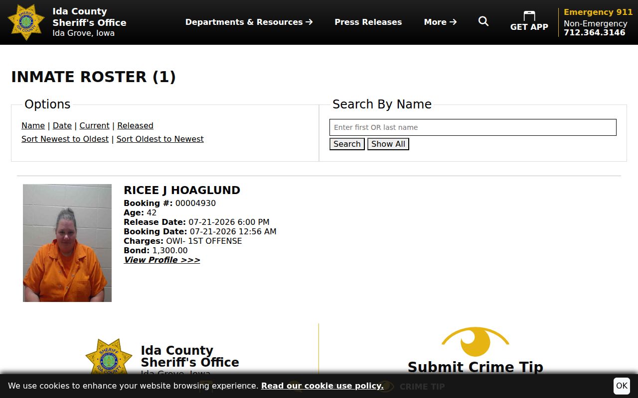Holstein criminal arrest records in the Ida County 48-hour release interface